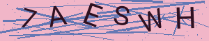 login.captcha.alt|trans